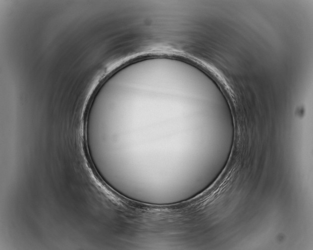 X0000101211335200806270844