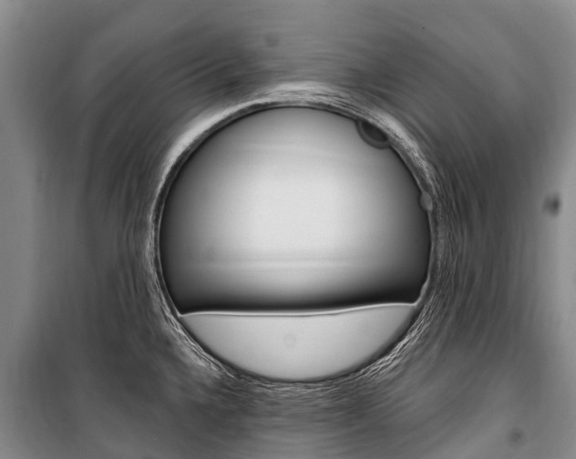 X0000101211336200806270844