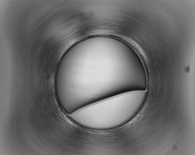 X0000101211337200806270844