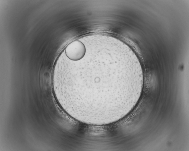 X0000101211338200806270844