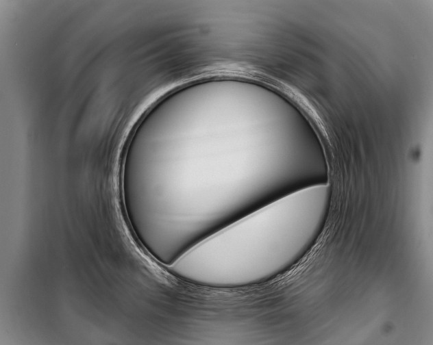 X0000101211339200806270844