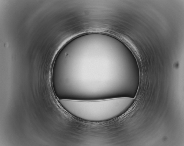 X0000101211340200806270844