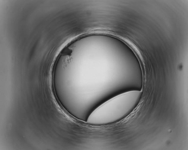X0000101211341200806270844