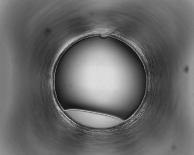 X0000101211342200806270844