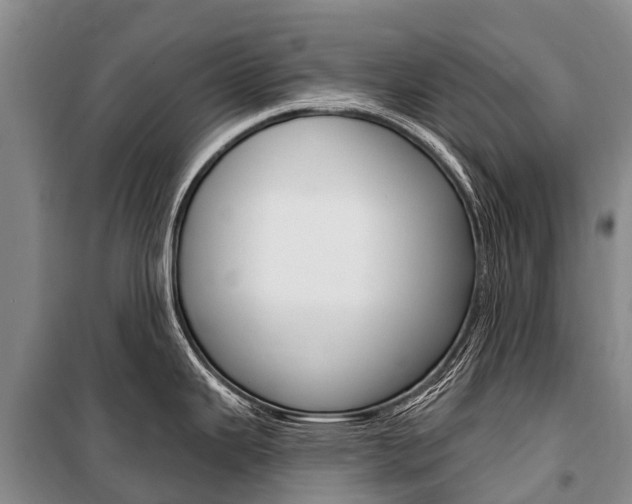 X0000101211343200806270844