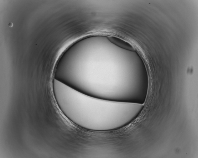 X0000101211344200806270844