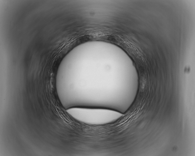 X0000101211346200806270843