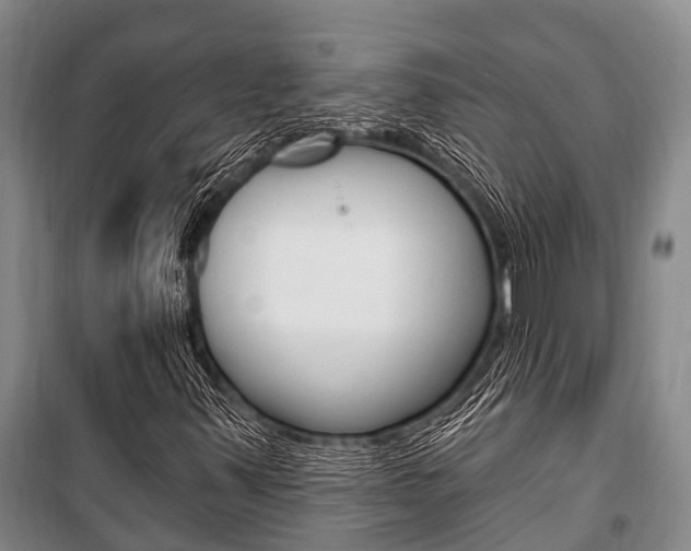 X0000101211347200806270843