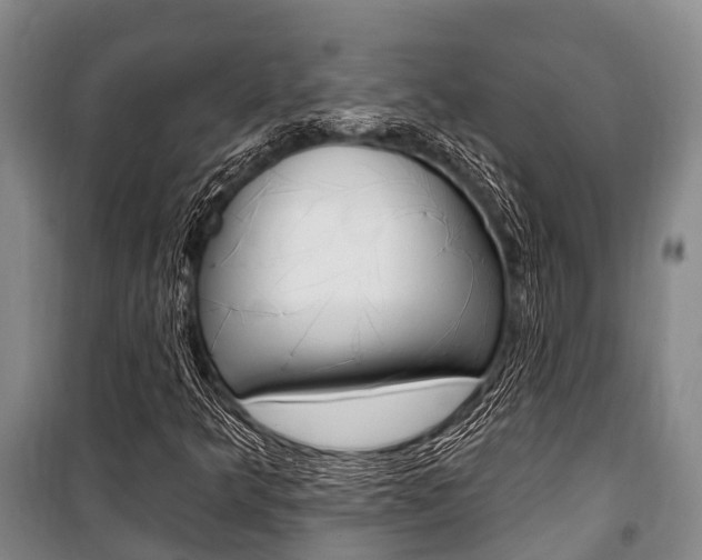 X0000101211349200806270843