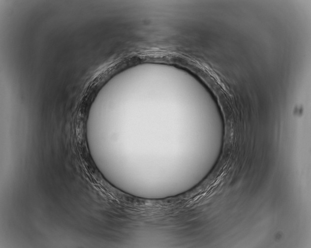 X0000101211350200806270843