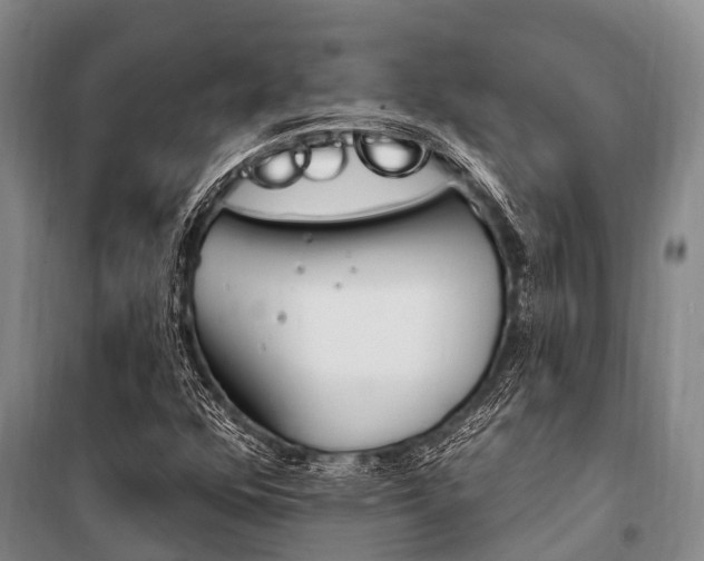 X0000101211352200806270843