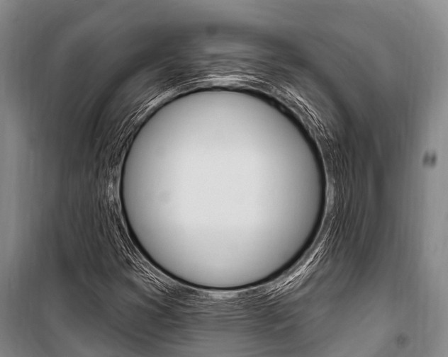 X0000101211353200806270843