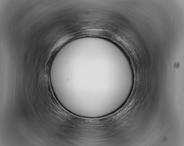 X0000101211354200806270843