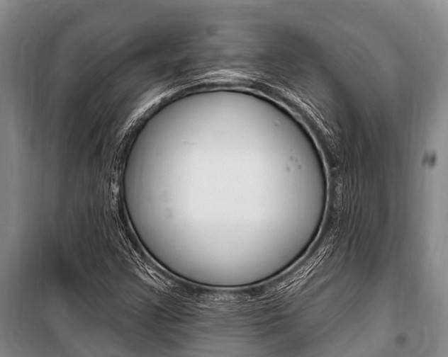 X0000101211355200806270843