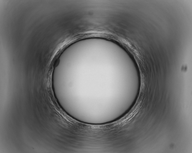 X0000101211357200806270843
