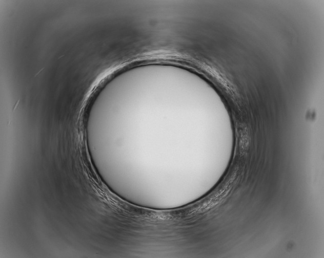 X0000101211358200806270843