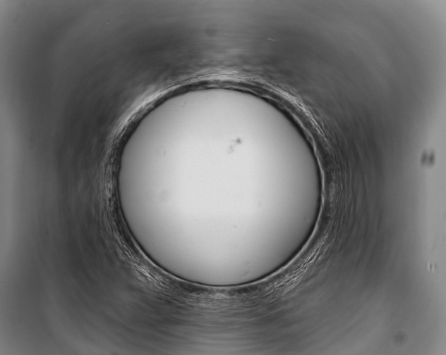 X0000101211359200806270843