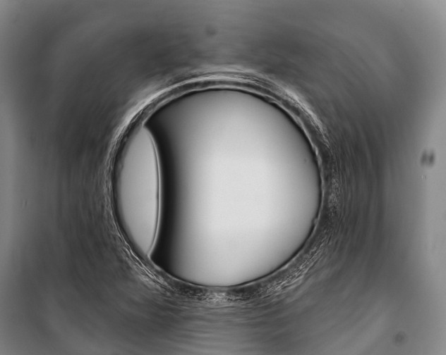 X0000101211360200806270843
