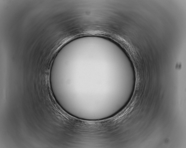 X0000101211361200806270843