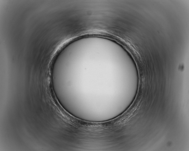 X0000101211363200806270843