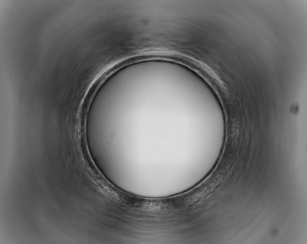 X0000101211364200806270843