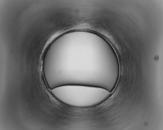 X0000101211366200806270843