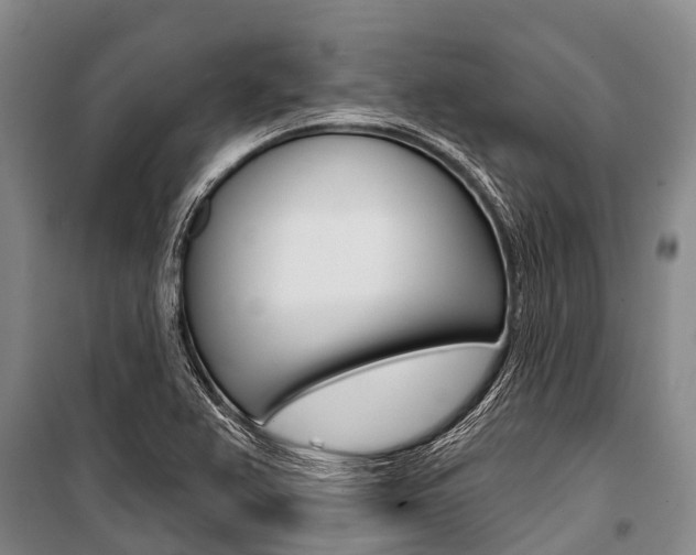 X0000101211367200806270843