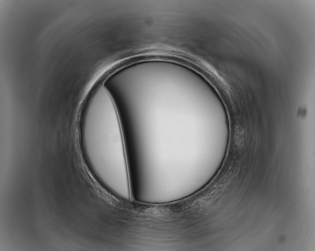 X0000101211368200806270843