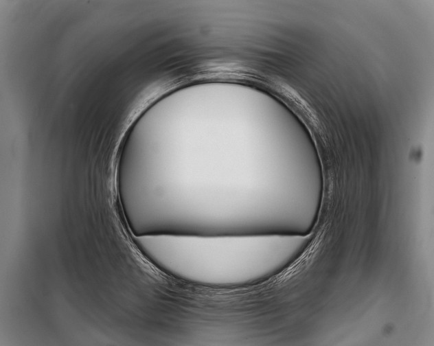 X0000101211370200806270843