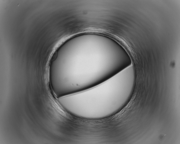 X0000101211371200806270843