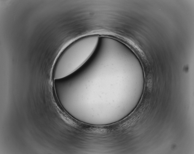 X0000101211372200806270843