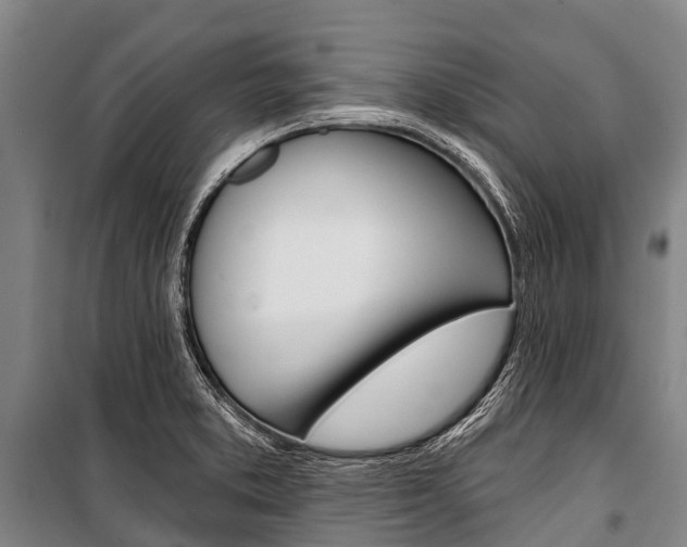 X0000101211373200806270843