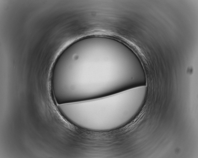 X0000101211375200806270843