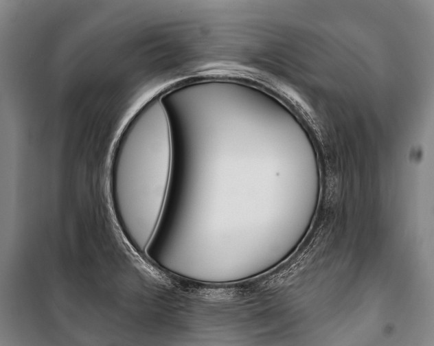 X0000101211376200806270843