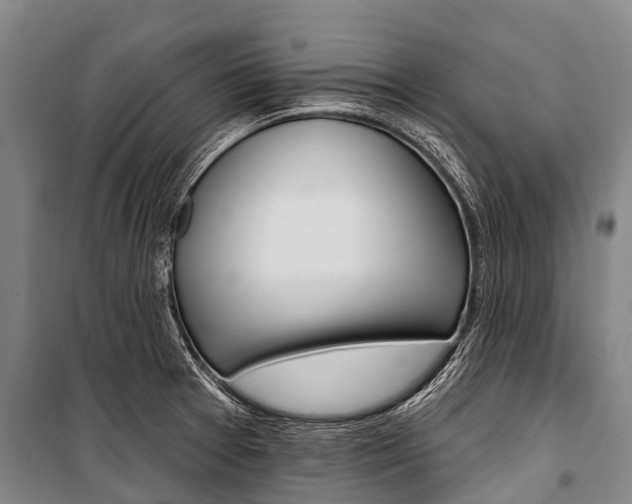 X0000101211377200806270843