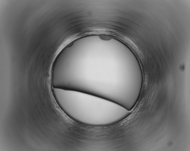 X0000101211378200806270843