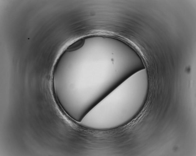 X0000101211379200806270843