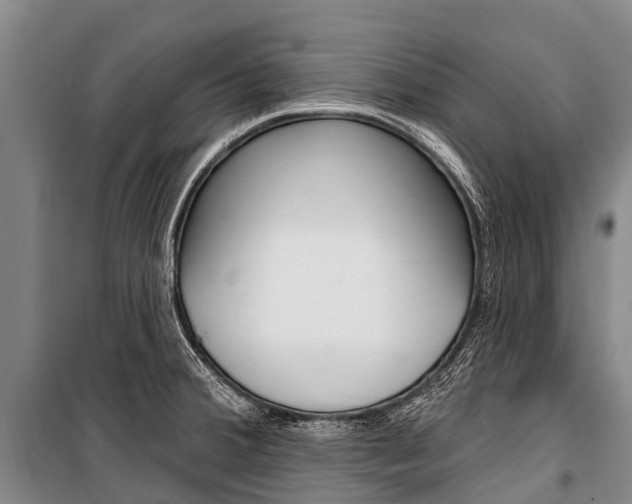 X0000101211380200806270843