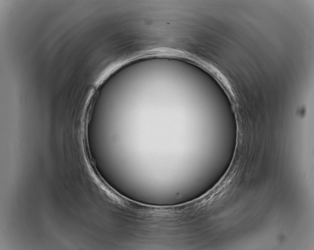 X0000101211381200806270843