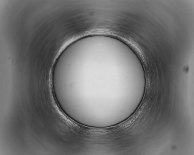 X0000101211382200806270843