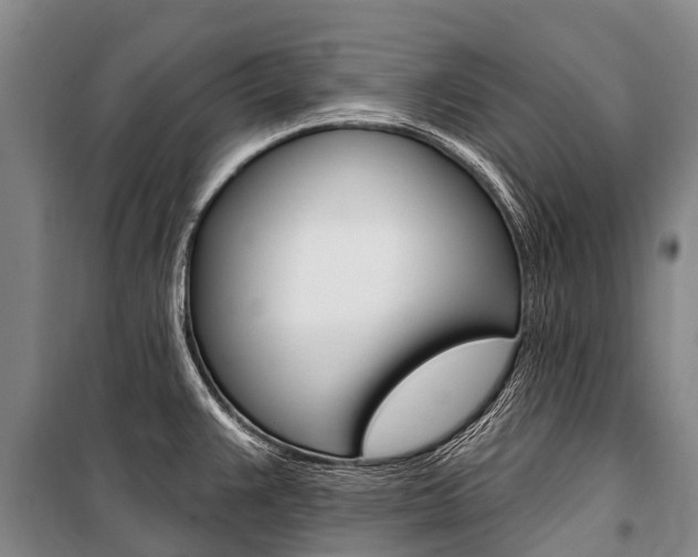 X0000101211383200806270843