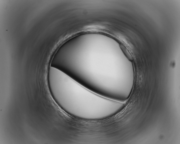 X0000101211384200806270843