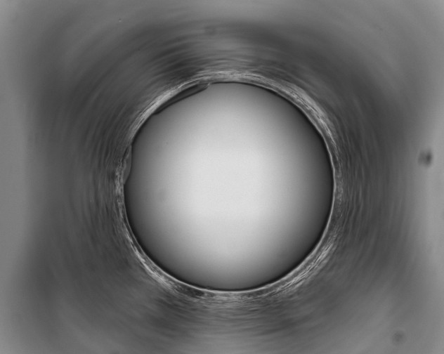 X0000101211385200806270843