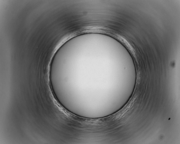 X0000101211386200806270843