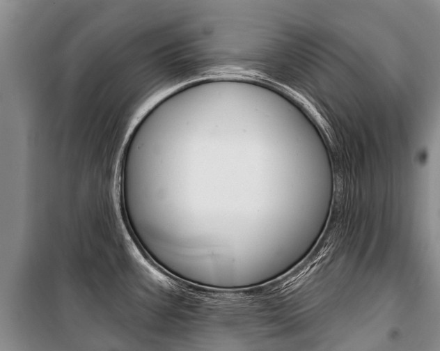 X0000101211387200806270843
