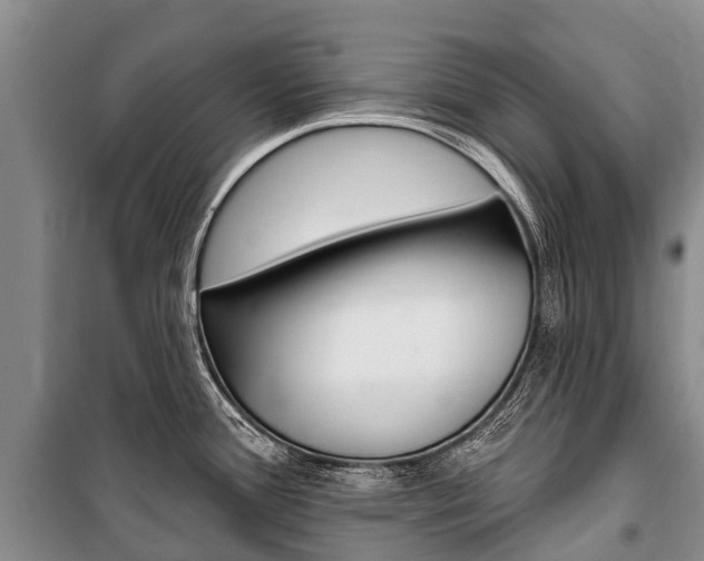 X0000101211388200806270843