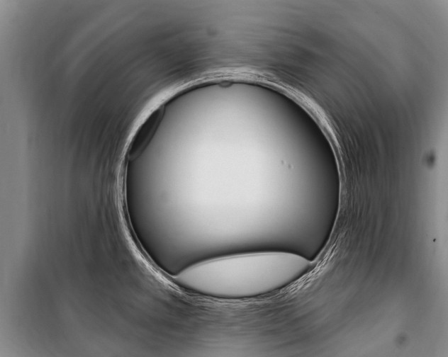 X0000101211389200806270843