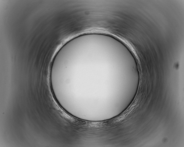 X0000101211390200806270843