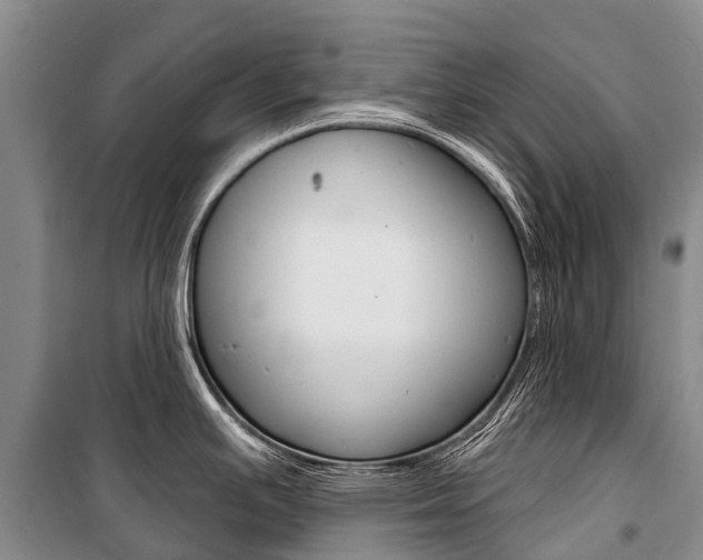 X0000101211391200806270843