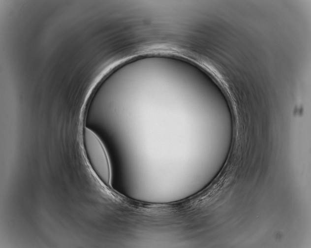 X0000101211392200806270843